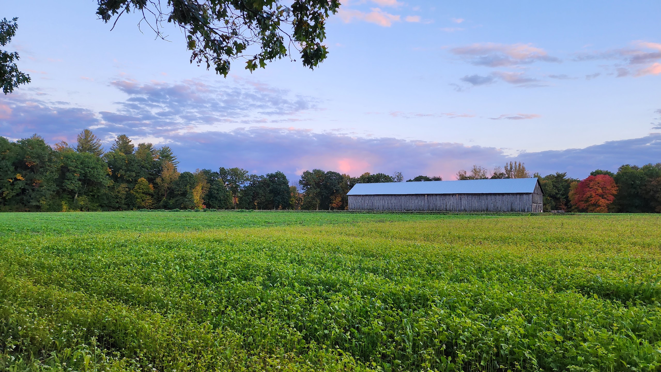 Fields and historic barns near Southwick Acres at sunset